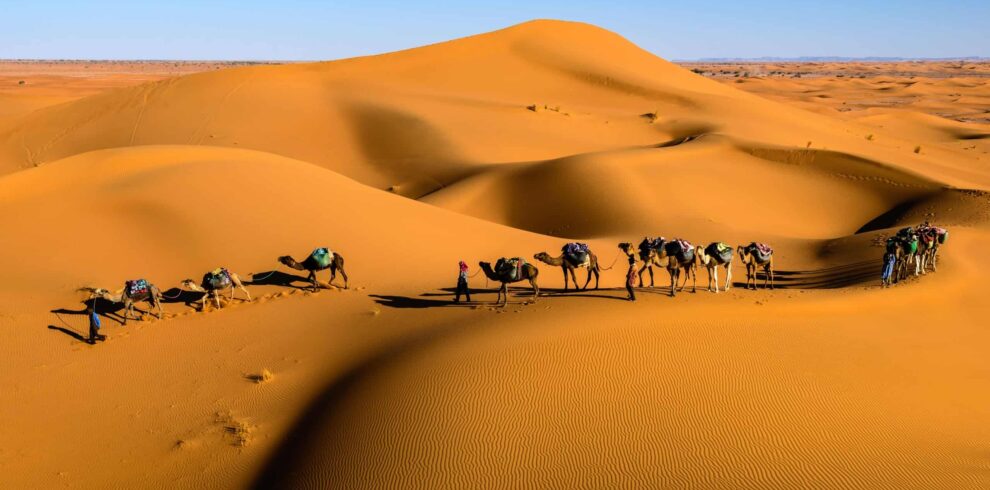 merzouga desert