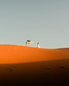 Woman in a white dress leading a white camel across bright orange desert sand dunes, featuring striking shadows and a clear sky.