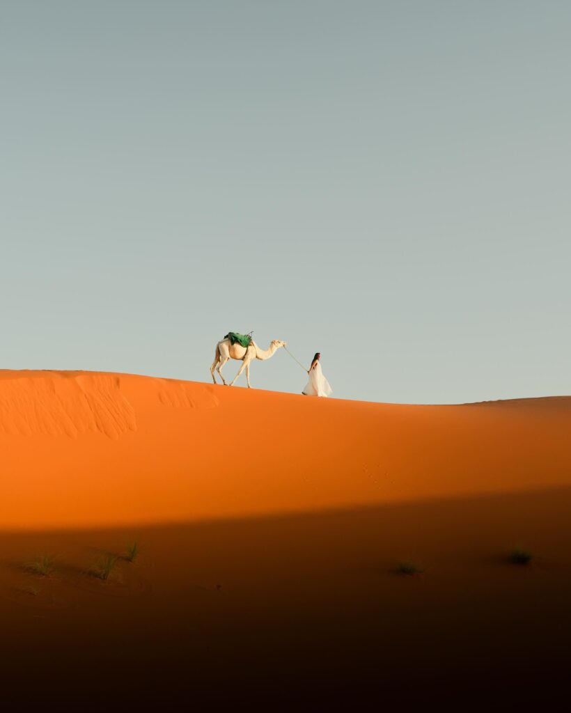 Woman in a white dress leading a white camel across bright orange desert sand dunes, featuring striking shadows and a clear sky.