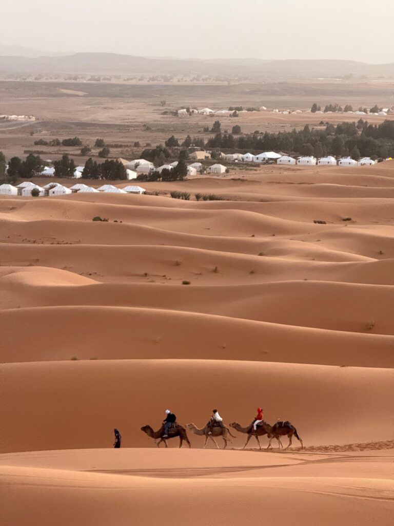 Camel caravan crossing the Erg Chebbi dunes near a desert camp in Merzouga
