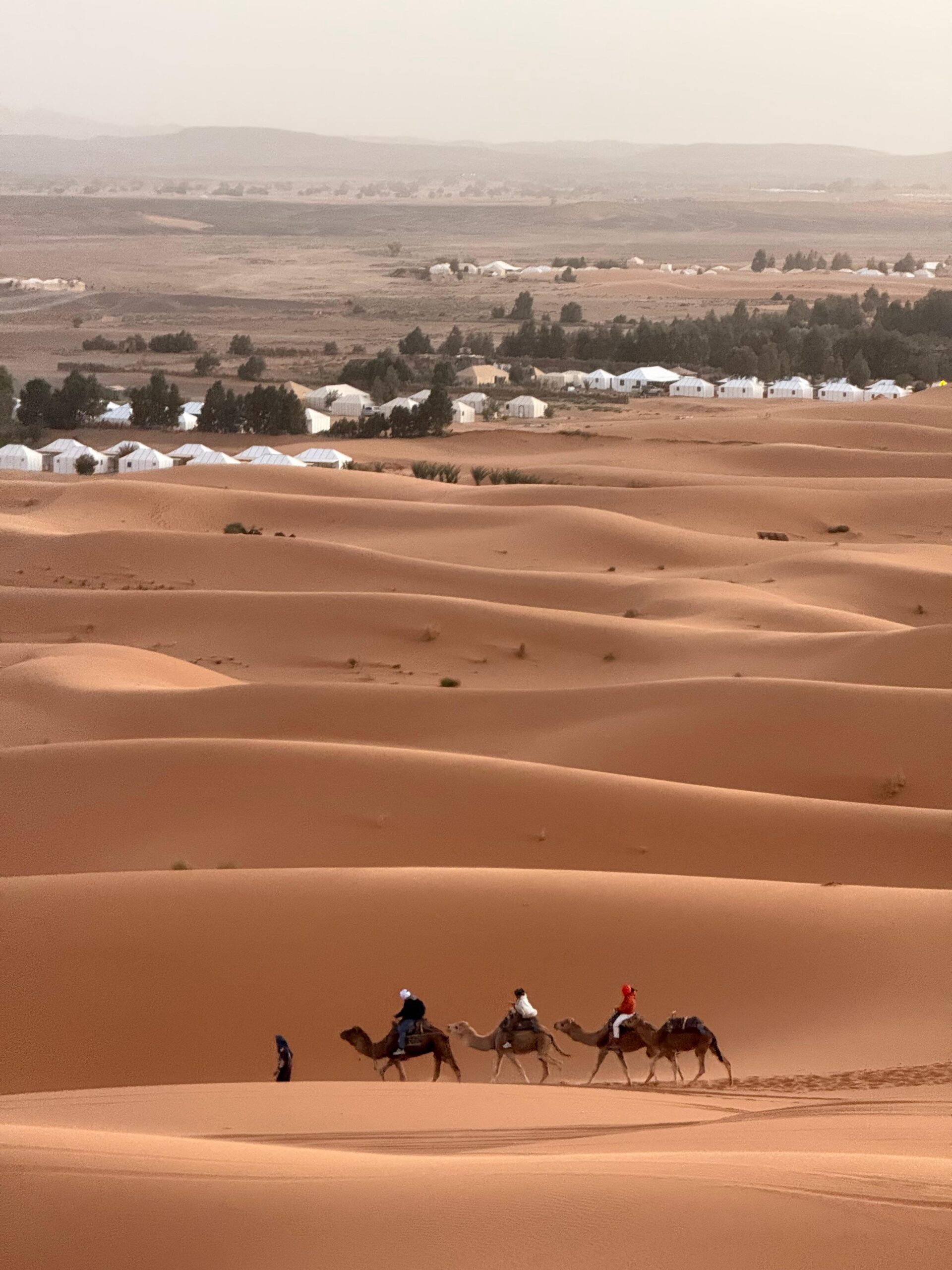 Camel caravan crossing the Sahara dunes near a desert camp