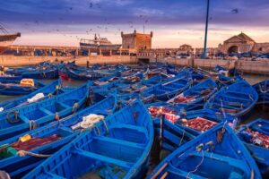 Traditional blue wooden fishing boats clustered in the historic port of Essaouira harbor in Morocco at sunset, featuring stone fortifications, fishing nets, and flying seagulls.