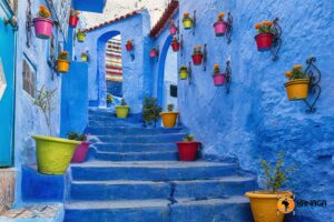 Picturesque vibrant blue-washed stairs and narrow alleyway in the historic medina of Chefchaouen, Morocco, beautifully decorated with bright yellow, pink, and red potted plants.