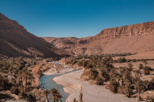 Scenic landscape view of the lush Ziz Valley oasis in Morocco, featuring a winding river flowing through a wide, rocky riverbed surrounded by dense date palm groves and towering, rugged red canyon walls under a clear blue sky.