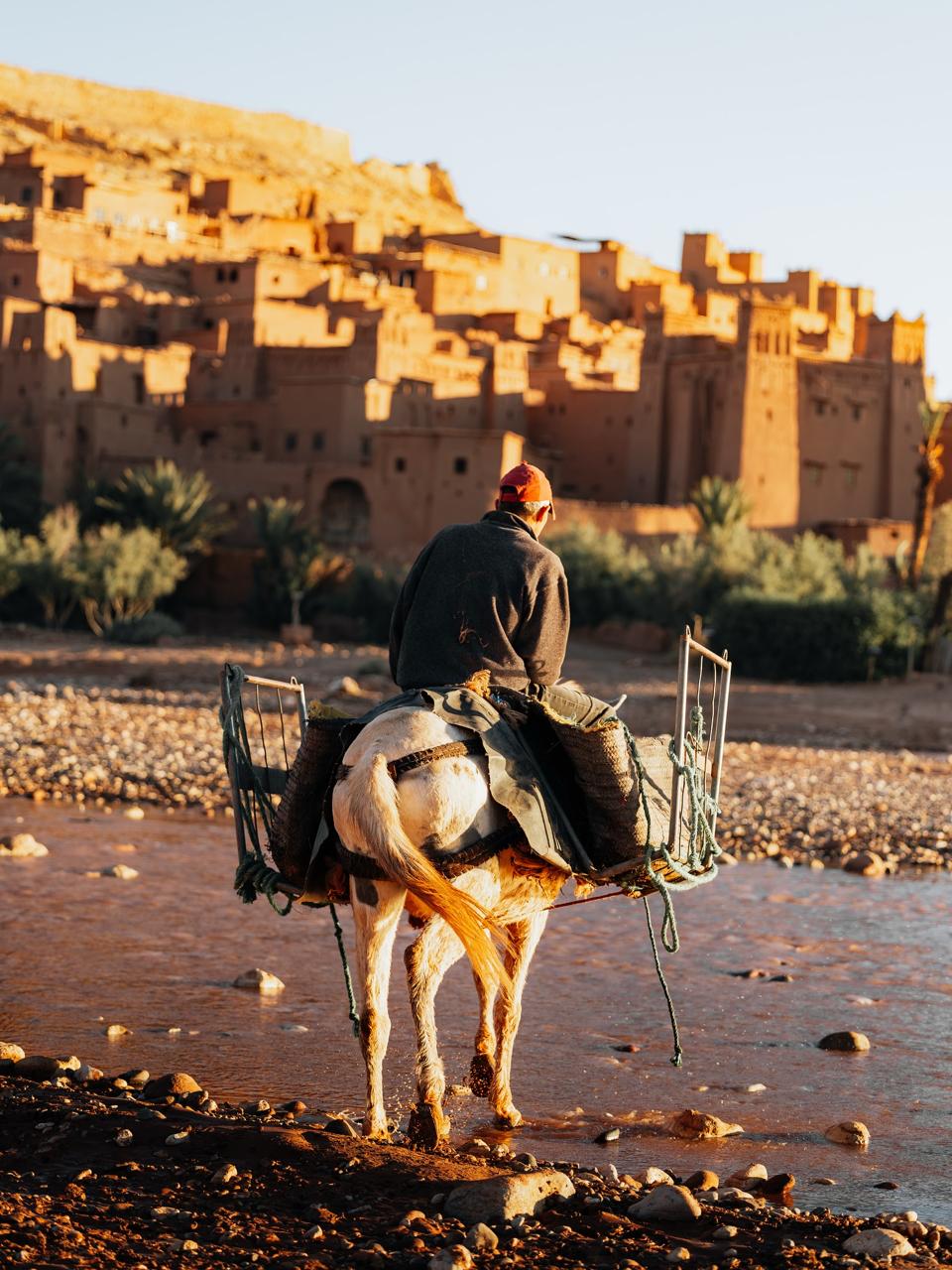 A man on a donkey crossing the river in front of Ait Ben Haddou