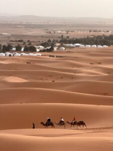 Camel caravan crossing the Erg Chebbi dunes near the desert camps of Merzouga