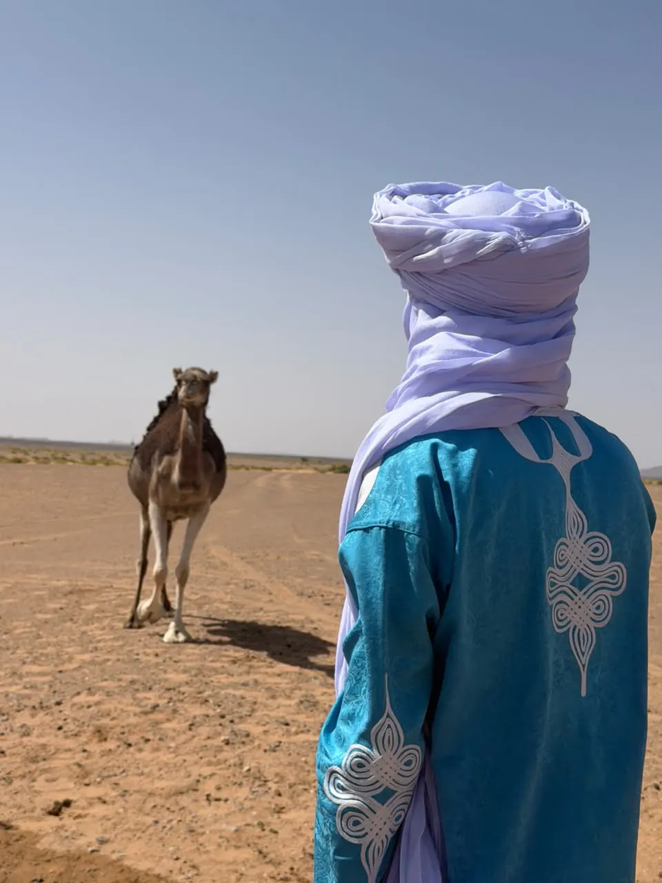 Berber man in a blue robe with a camel in the Sahara