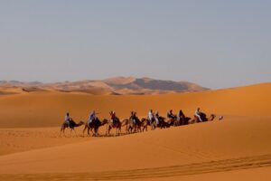 Camel trek across the Sahara dunes