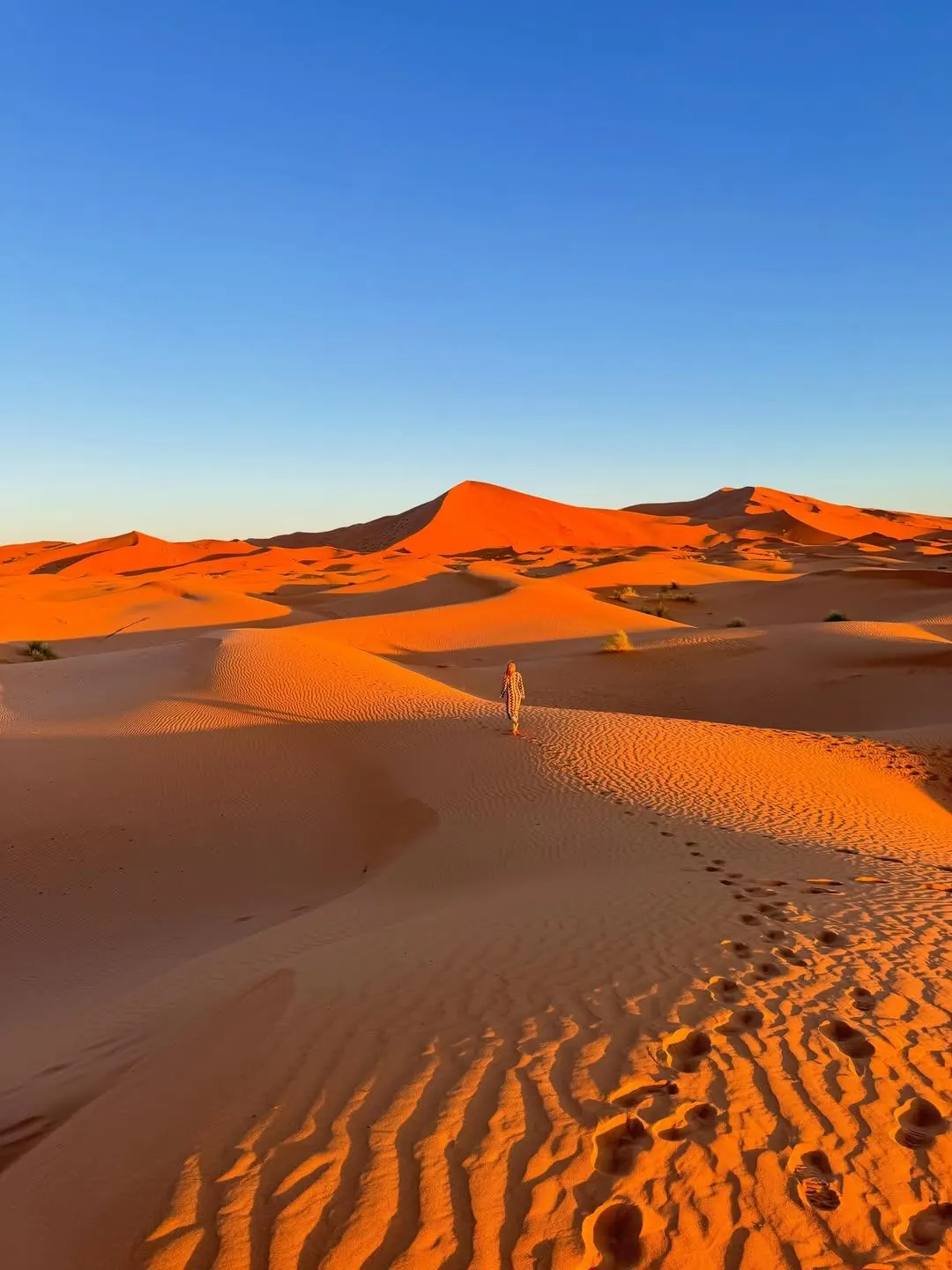 Sunset light on the Erg Chebbi sand dunes in Merzouga