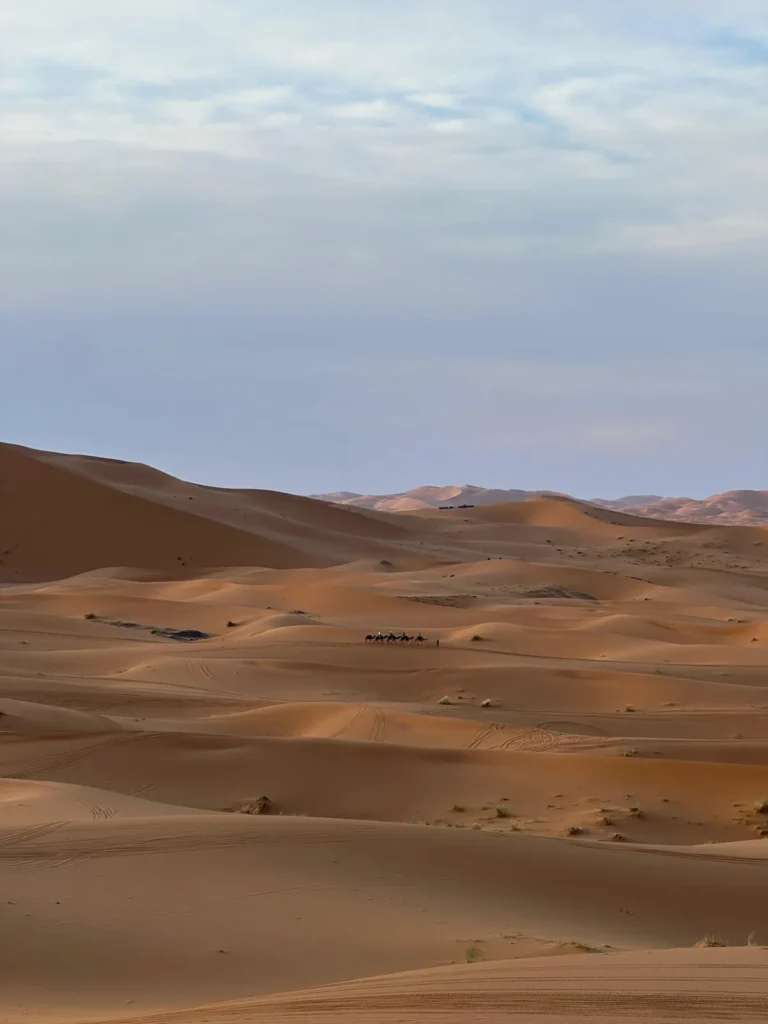 Sand dunes of the Sahara near Merzouga