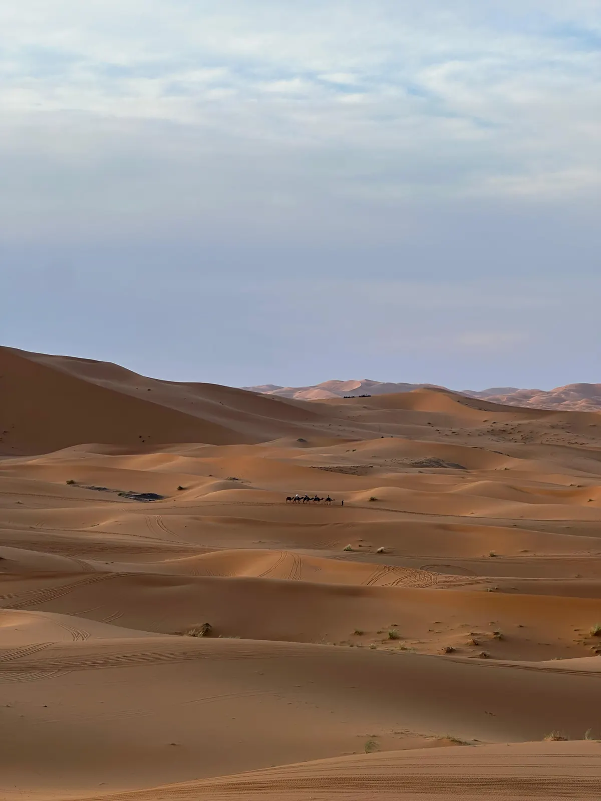 Sand dunes of the Sahara near Merzouga