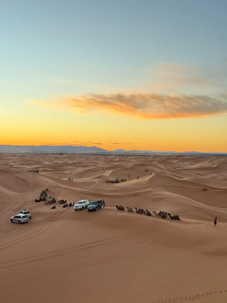Sunset over the Erg Chebbi dunes with 4x4s and camels