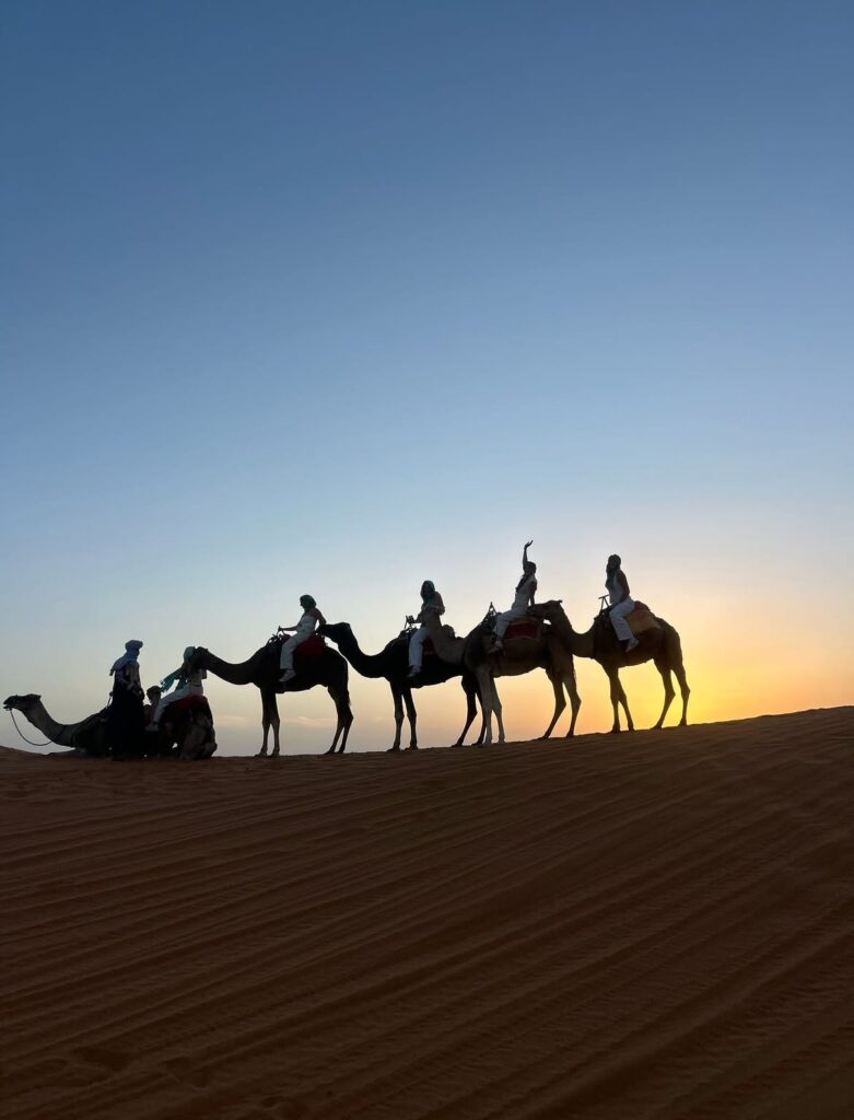 Silhouette of students on a camel caravan against the Sahara sunset