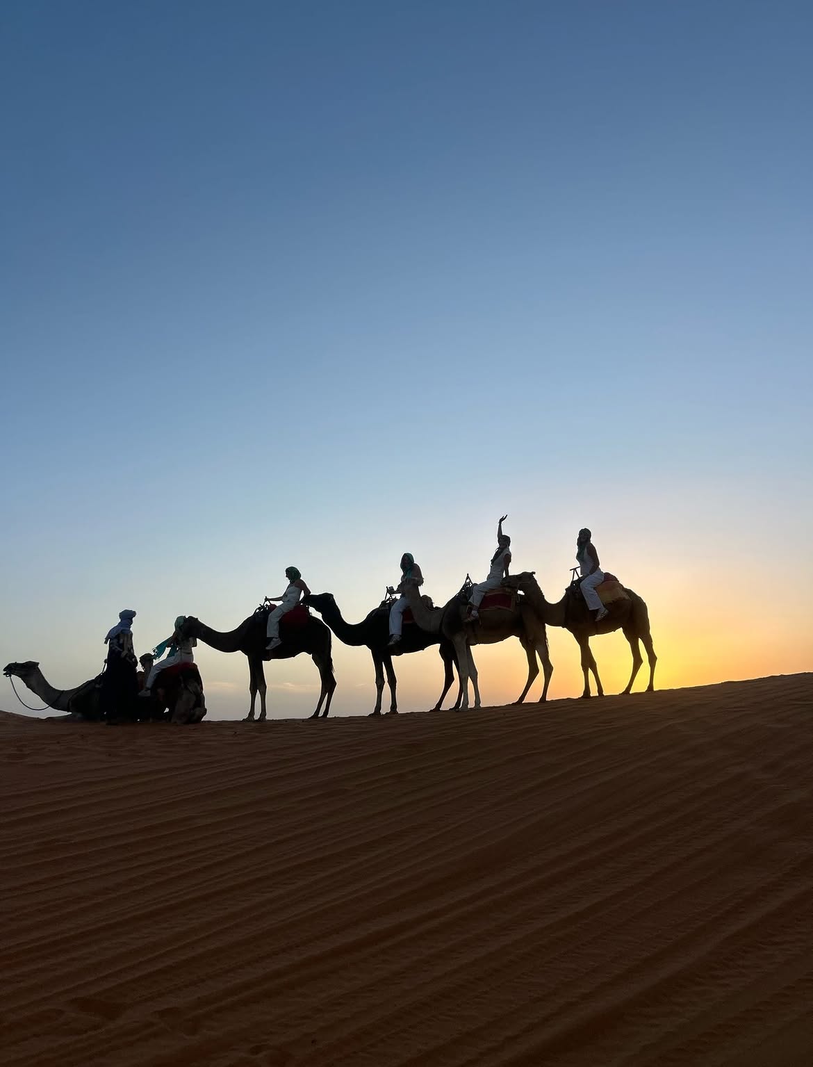 Silhouette of students on a camel caravan against the Sahara sunset