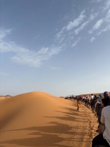 Long camel caravan of students walking along a Sahara dune ridge at golden hour