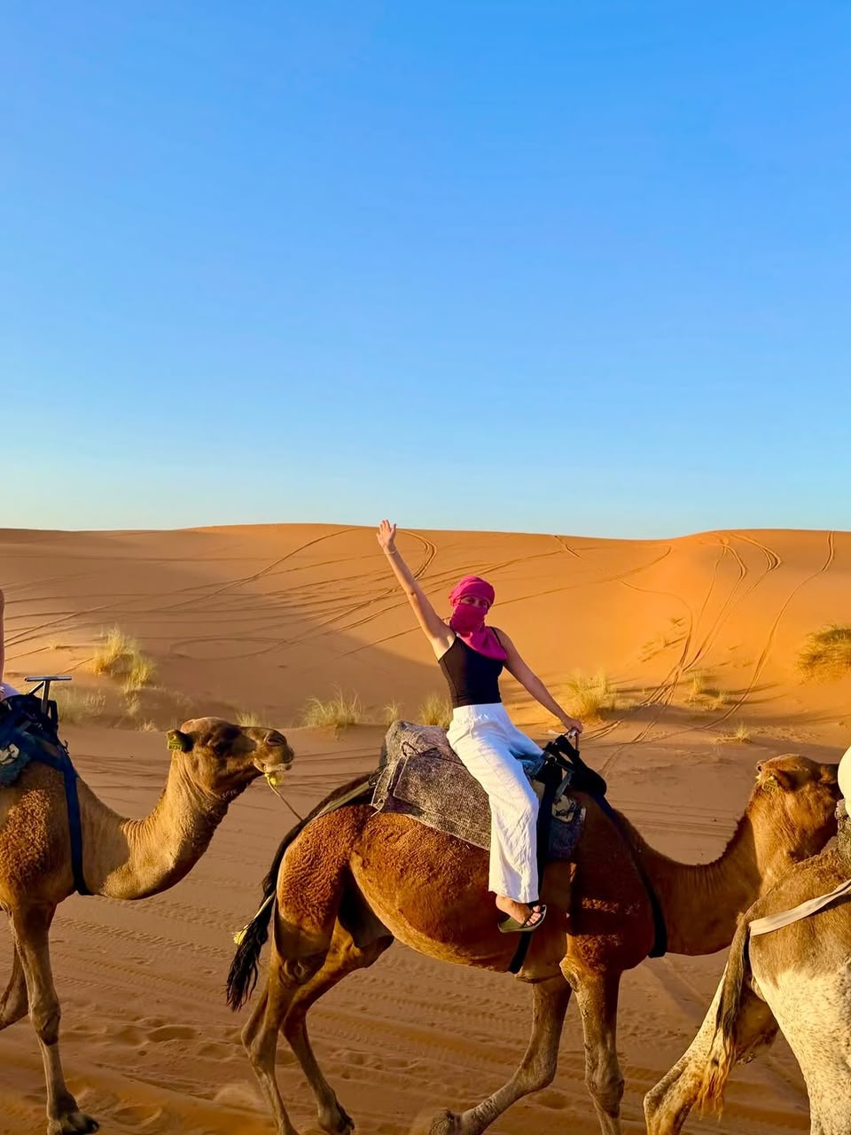 Student riding a camel through the Sahara dunes on a student tour in Morocco
