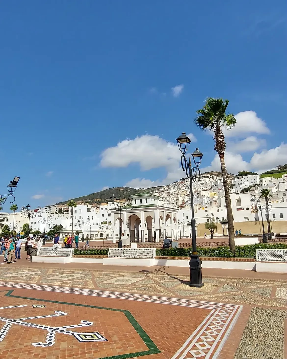 Whitewashed Tetouan on the hillside above a palm-lined square