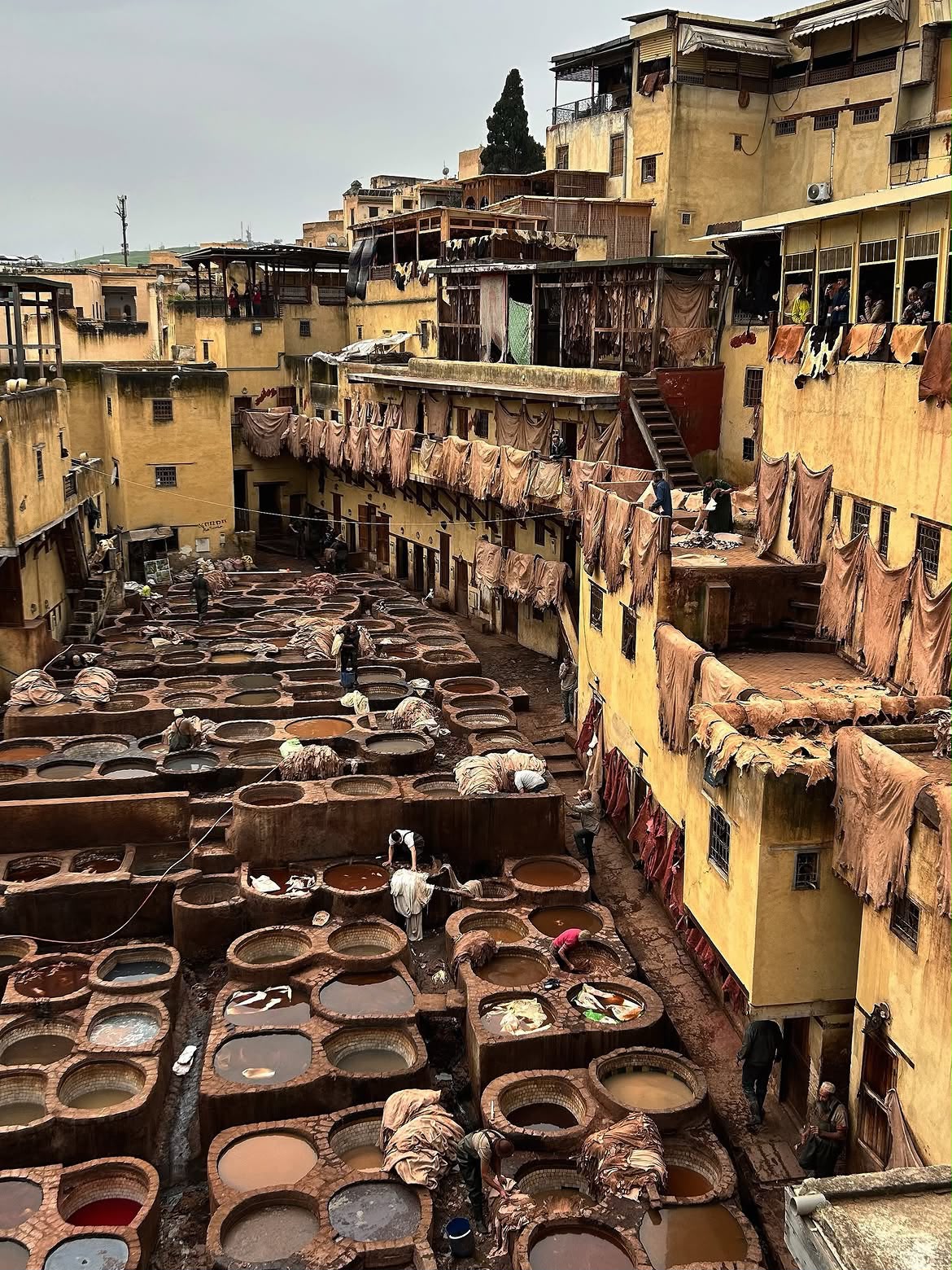 Chouara tannery stone vats and drying hides in the Fes medina
