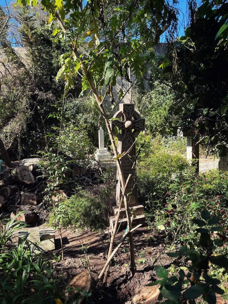Celtic cross in the shaded British graveyard of St Andrew's Church, Tangier