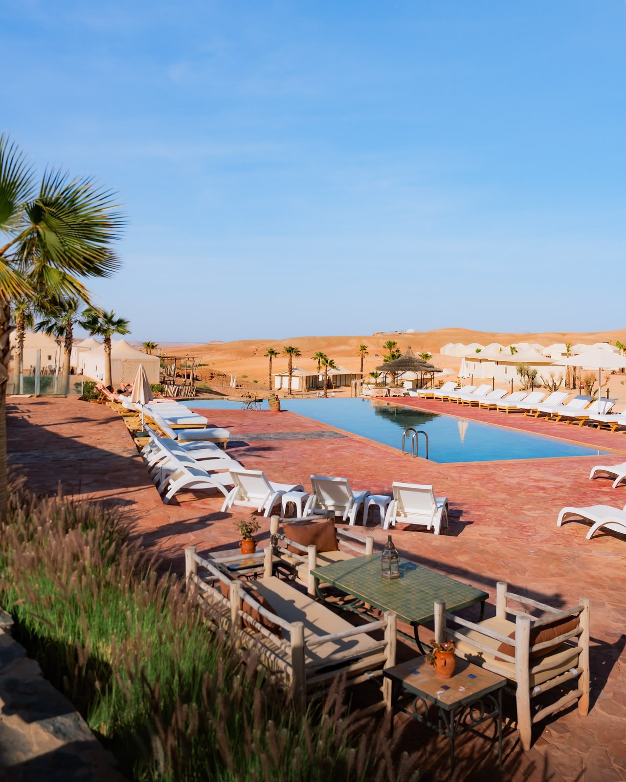 Swimming pool with sun loungers and palm trees at a camp near Marrakech