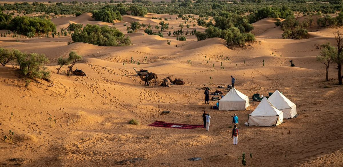 White desert camp tents among the Sahara dunes