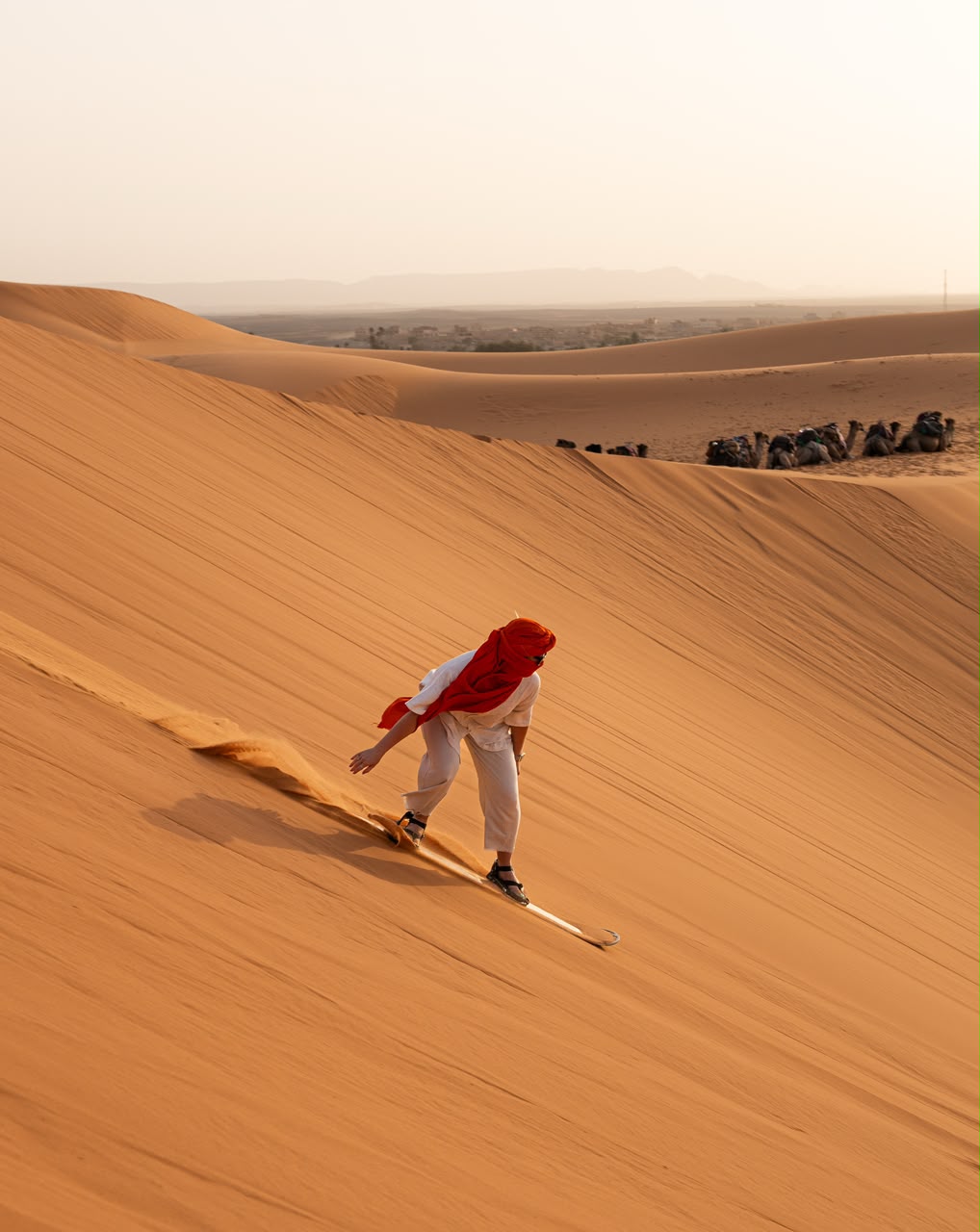 Sandboarder in a red scarf riding a board down an Erg Chebbi dune in Merzouga