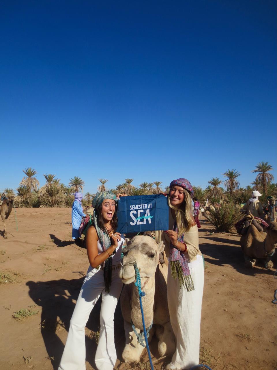 Two smiling travelers holding a Semester at Sea sign beside a camel in front of palm trees