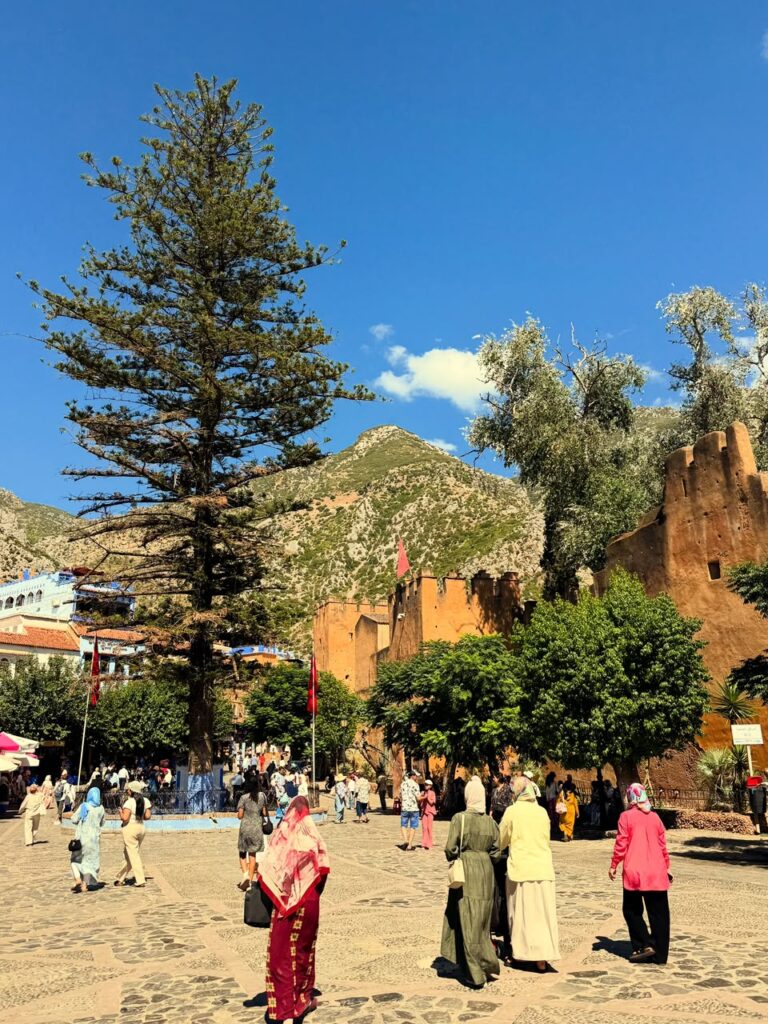 Plaza con un pino alto, gente paseando y la kasbah de Chefchaouen al fondo